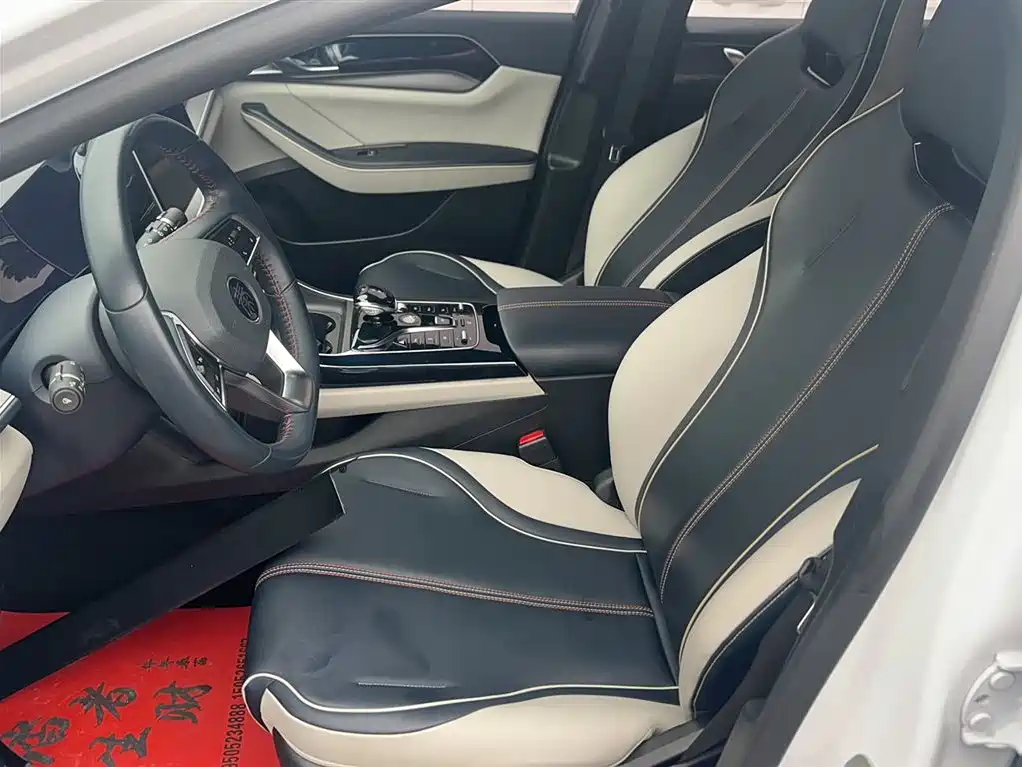 BYD Qin PLUS 2021 DM-i 55KM Flagship фото 19