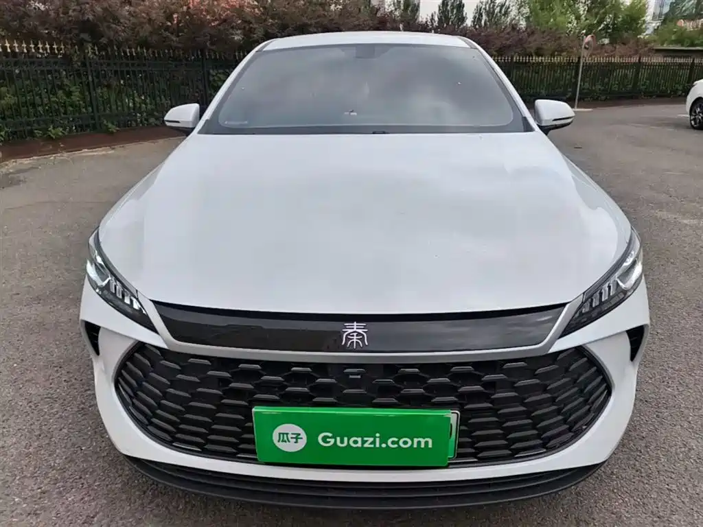 BYD Qin PLUS 2025 DM-i Smart Drive 55KM Leader фото 3