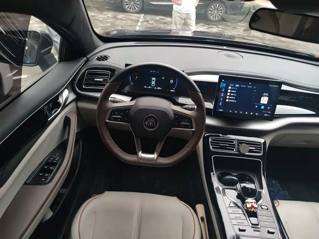 BYD Qin PLUS 2023 Champion Edition DM-i 120KM Leading Type фото 3