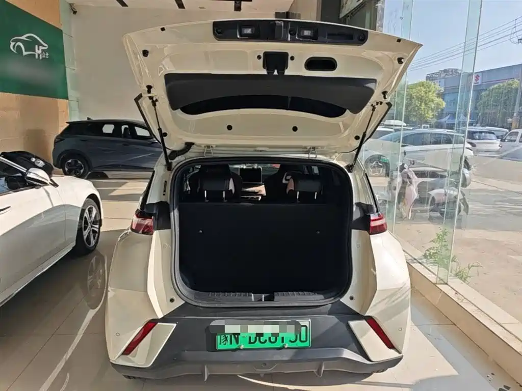 BYD Seagull 2025 305km Vitality фото 19