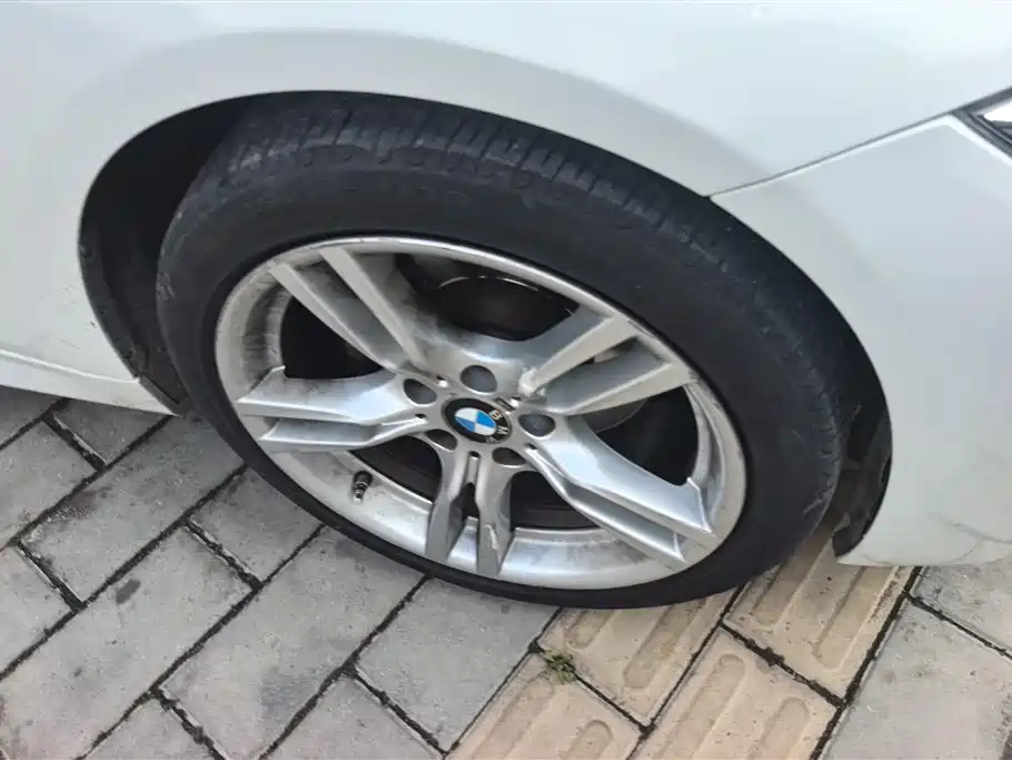 BMW 3 Series 2018 320Li Leading M Sport Package фото 6