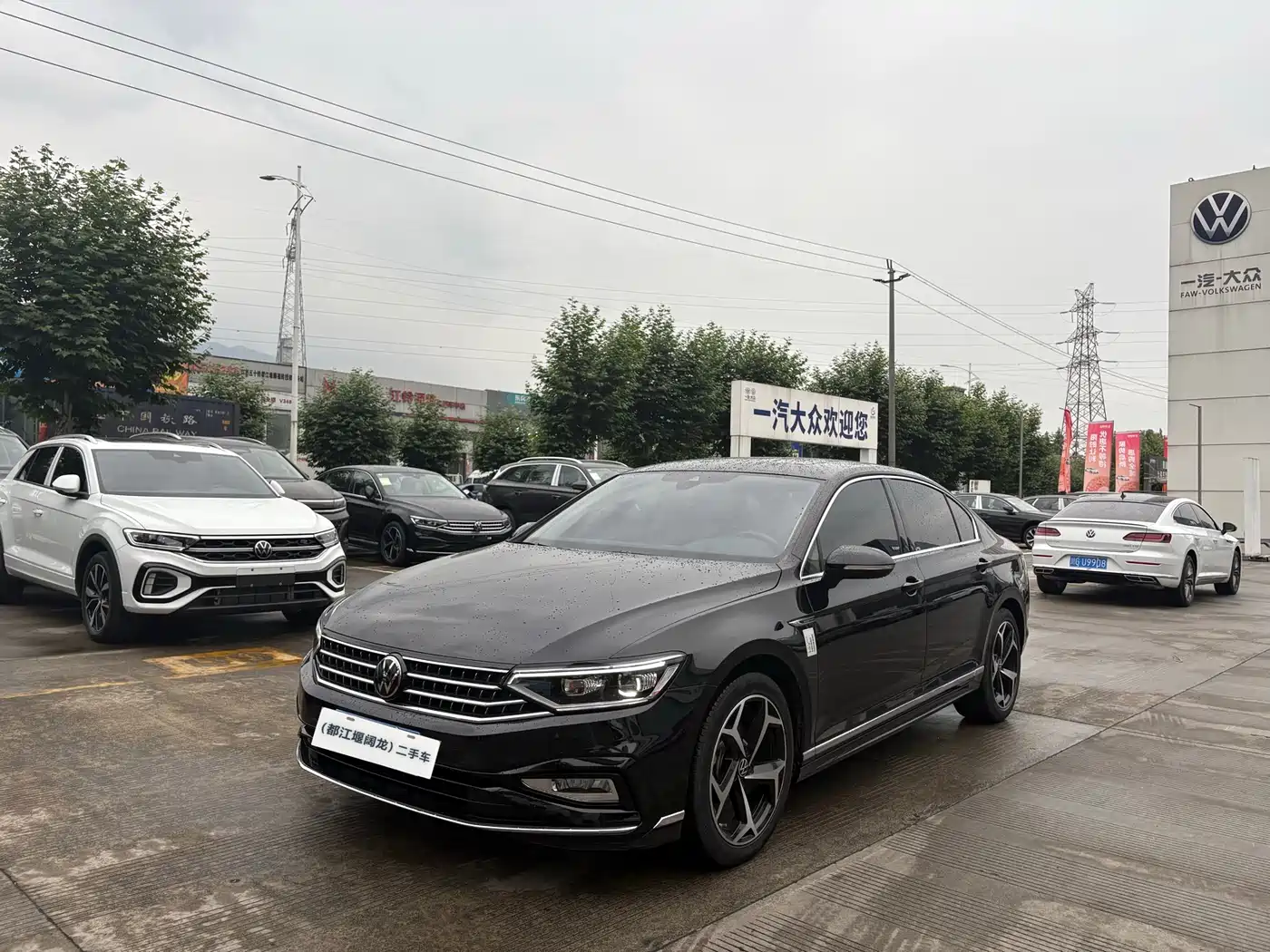 Volkswagen Magotan 2024 2 Million Units Public Sharing Edition 330TSI DSG Luxury