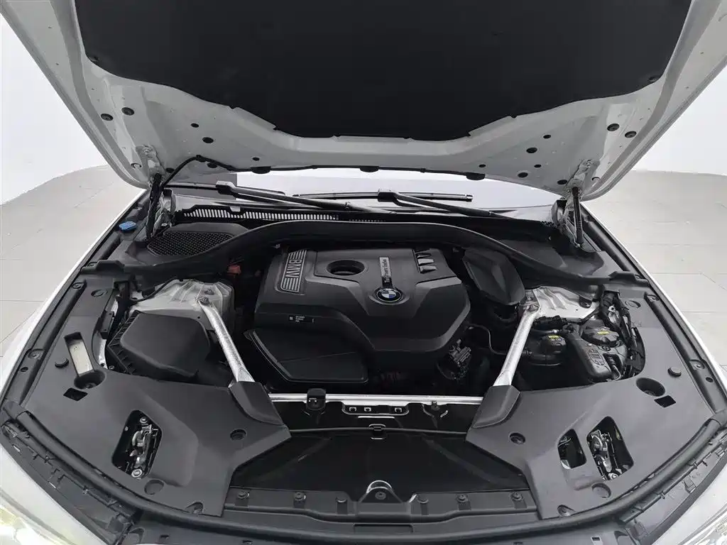 BMW 5 Series 2020 525Li Luxury Package фото 6