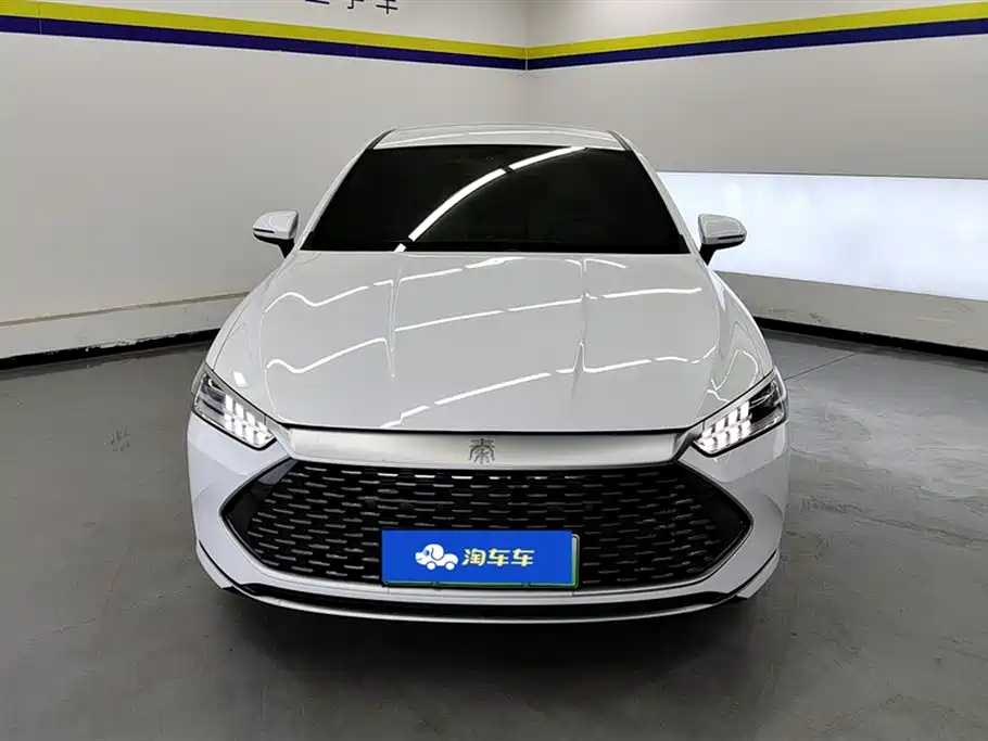 BYD Qin PLUS 2024 Glory Edition DM-i 55KM Leading фото 2