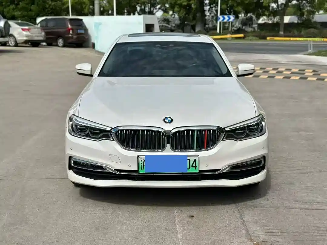 BMW 5 Series New Energy 2019 530Le Luxury Package