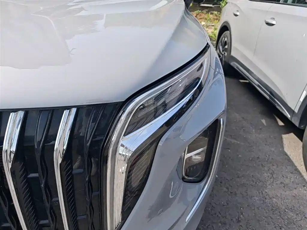 Hongqi HS7 PHEV 2024 2.0T PHEV AWD Flagship 6-Seater фото 24