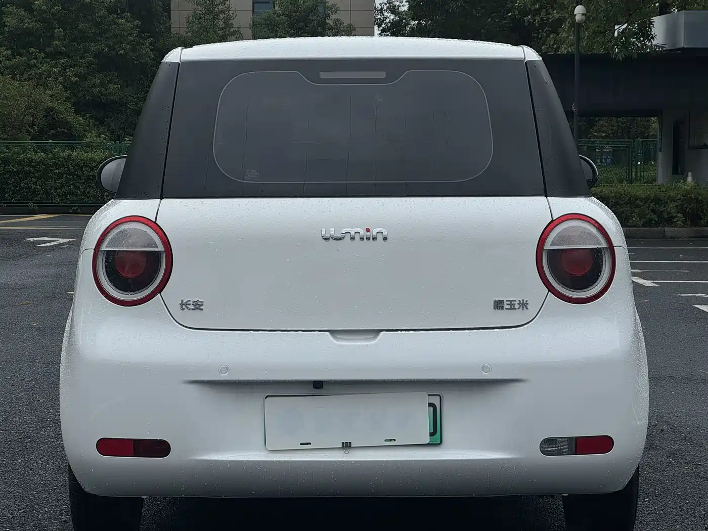 Changan Qiyuan Changan Lumin 2022 2022 210km Sweet Edition