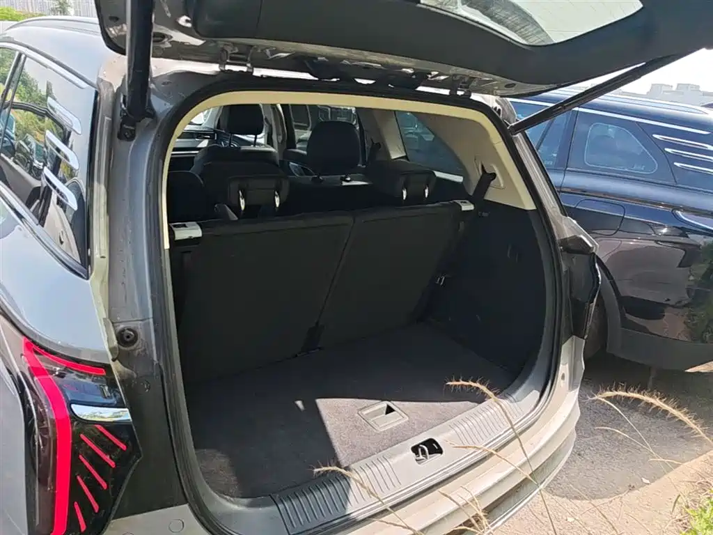 Hongqi HS7 PHEV 2024 2.0T PHEV AWD Flagship 6-Seater фото 19