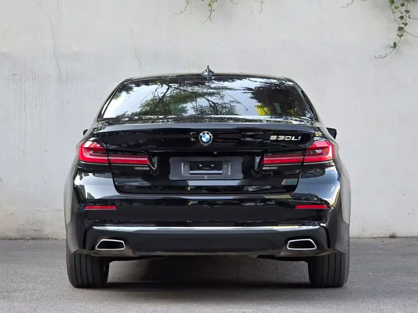 BMW 5 Series 2021 530Li Leading Luxury Package фото 8
