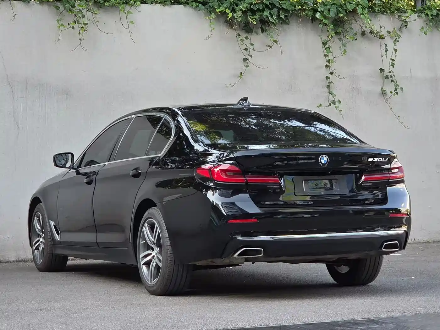 BMW 5 Series 2021 530Li Leading Luxury Package фото 9