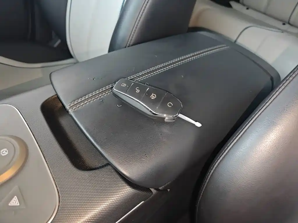 BYD Destroyer 05 2025 2024 Glory Edition DM-i 55KM Luxury