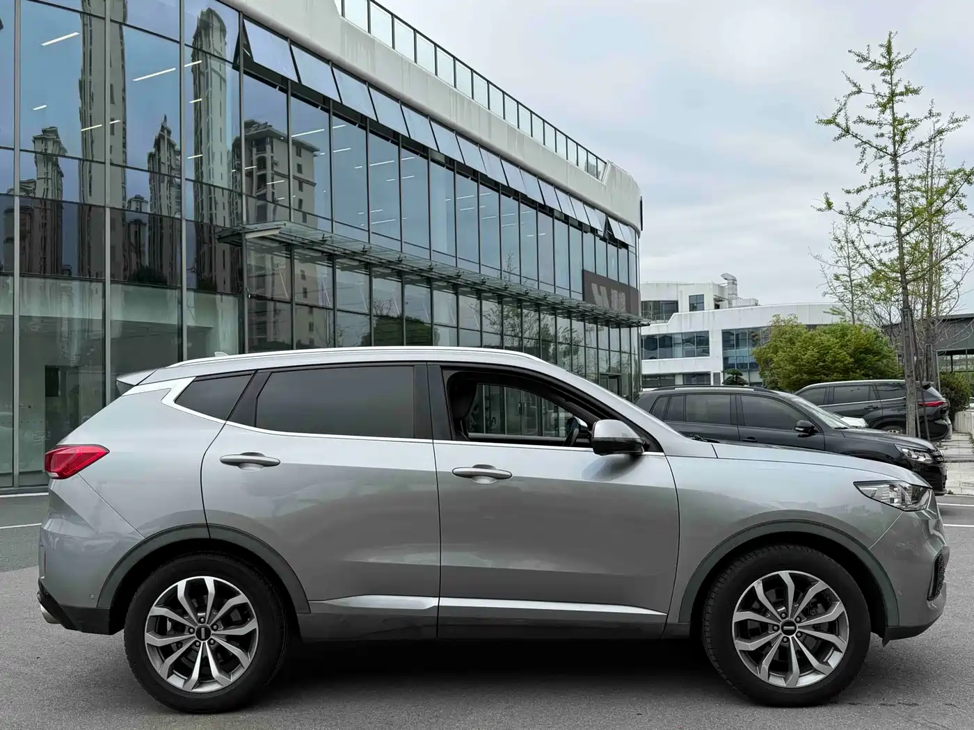 WEI PAI WEI BRAND VV6