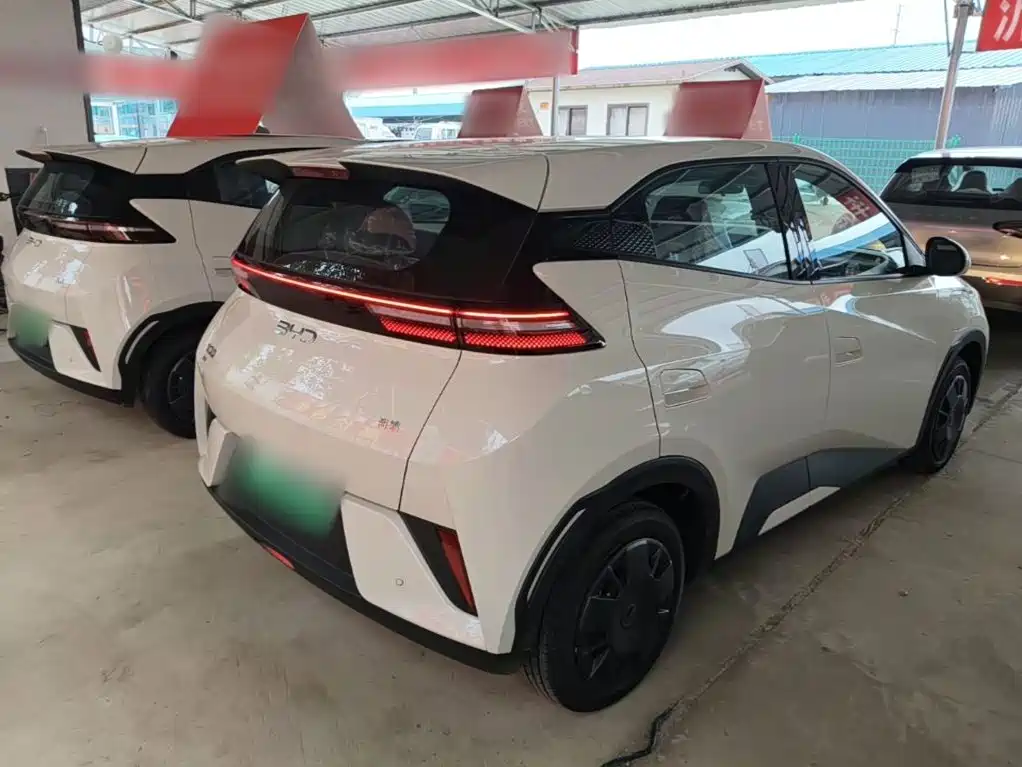 BYD Seagull 2026 2025 Smart Drive Edition 305km Vitality Version