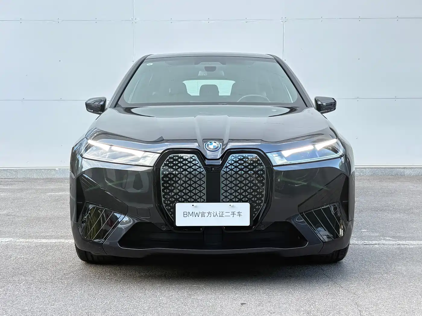2026 BMW iX