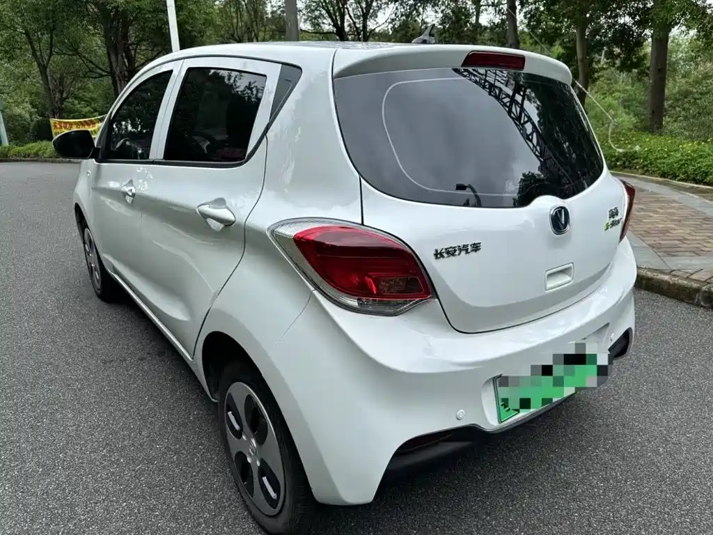 Changan Benben E-Star 2021 2022 National Edition Colorful Limited (Fast Charging) LFP