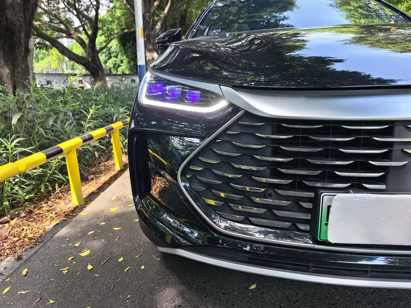 BYD Tang New Energy 2025 2025 DM-i 115KM Prestige Type