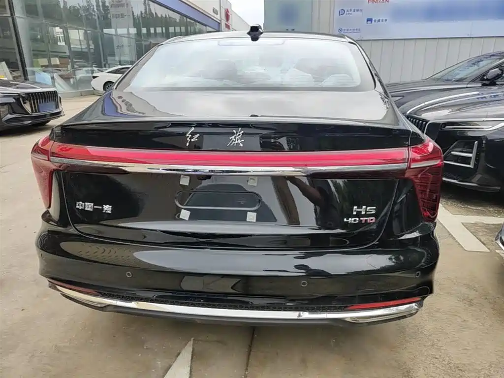 Hongqi H5 2025 2.0T Automatic Qixiang 500,000 Units Commemorative Edition фото 6