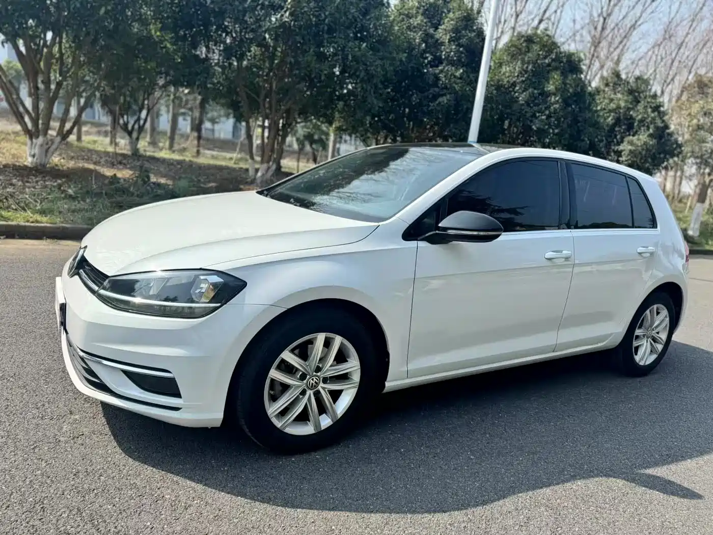 Volkswagen Golf 2019 280TSI DSG Comfort China VI фото 2