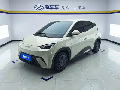 BYD Seagull