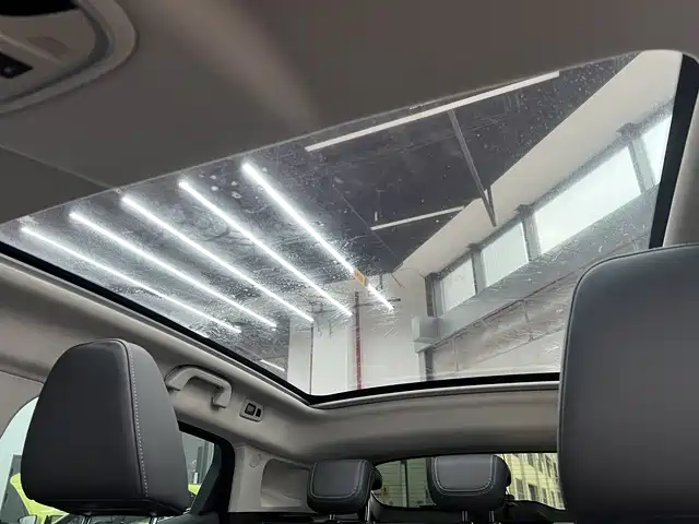 WEI PAI WEI BRAND VV5