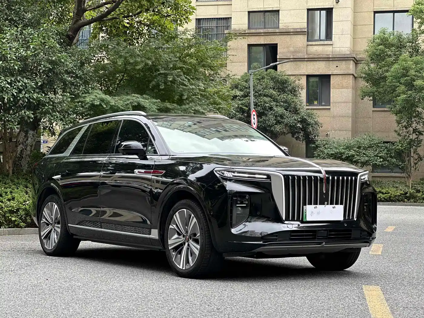 Hongqi E-HS9 2021 460km Flagship Comfort 6-seater фото 3