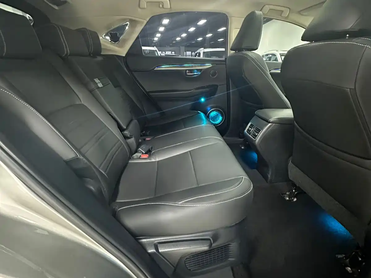 Lexus NX 2020 200 AWD F Sport China VI фото 11