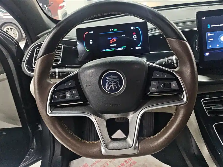 BYD Qin PLUS 2023 Champion Edition EV 420KM Leading Type фото 15