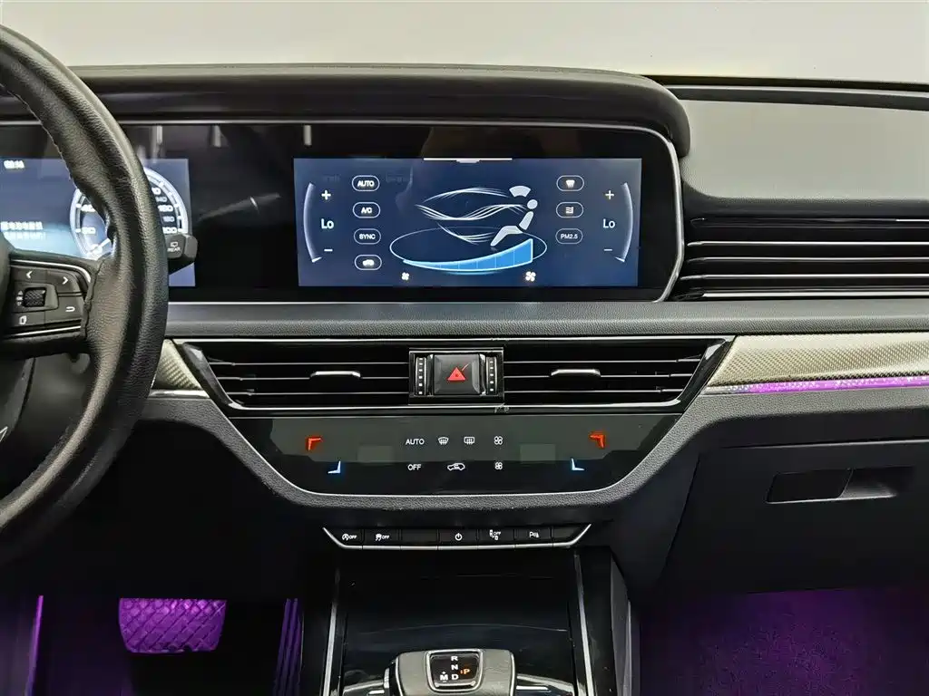 Hongqi HS5 2019 2.0T Smart Connect Enjoy 4WD Edition фото 12
