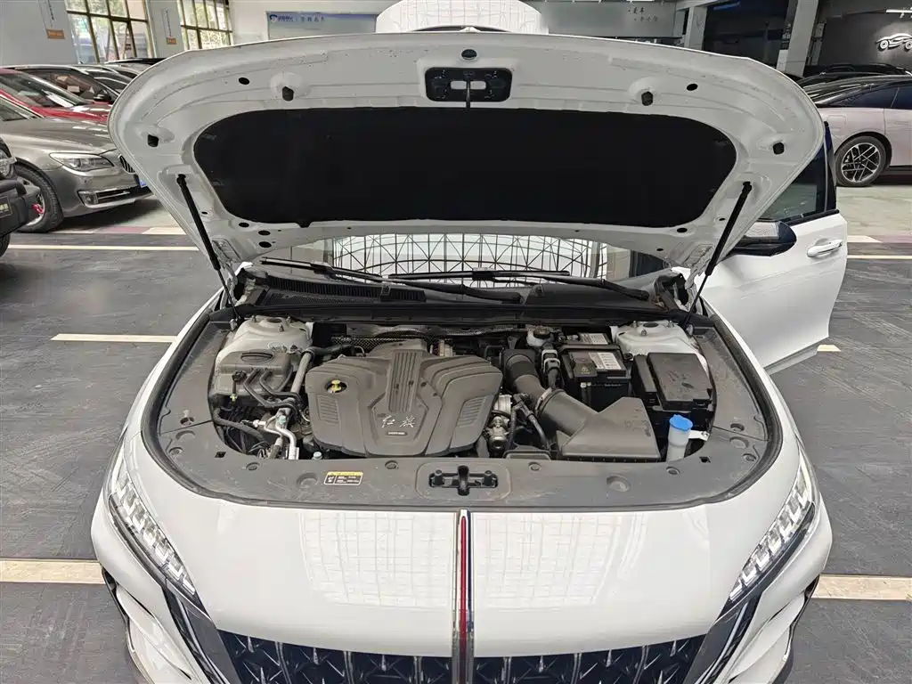 Hongqi H6 2024 Model 2.0T Fashion Edition фото 11