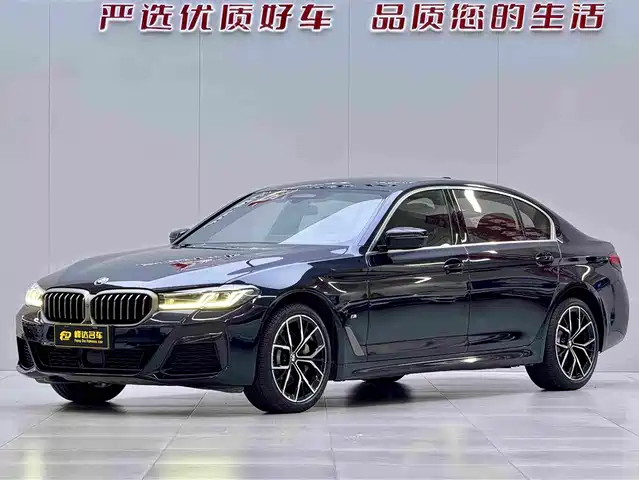 BMW 5 Series 2020 530Li Leading Luxury Package