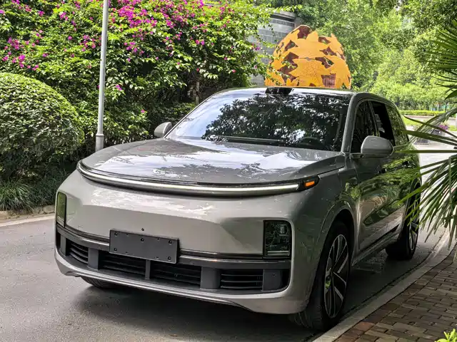Li Auto Li Xiang L9 2023 Model Pro