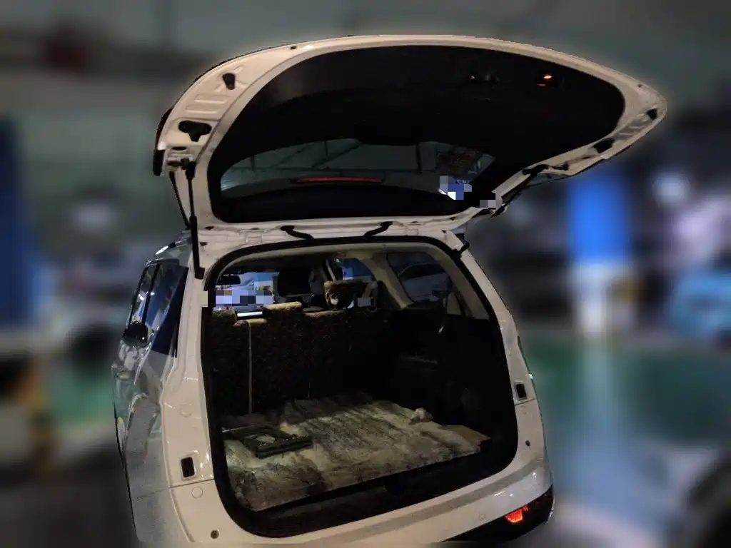 Baojun 730 2019 2019 1.5T CVT Flagship 7-Seater China V