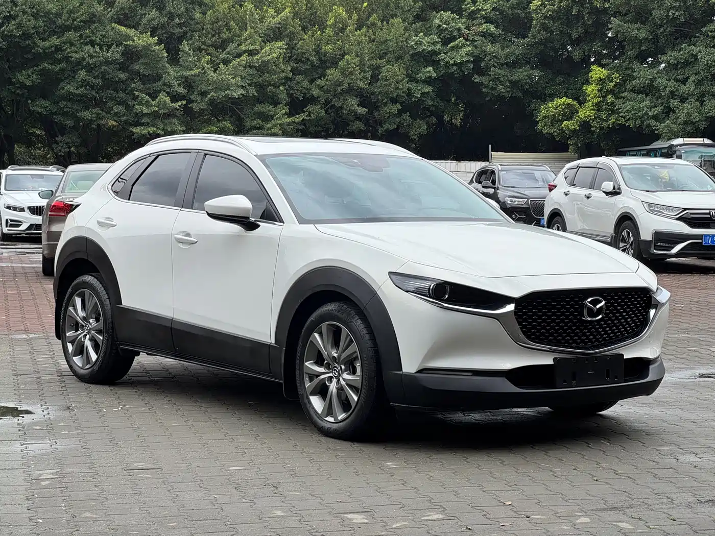  CX 30