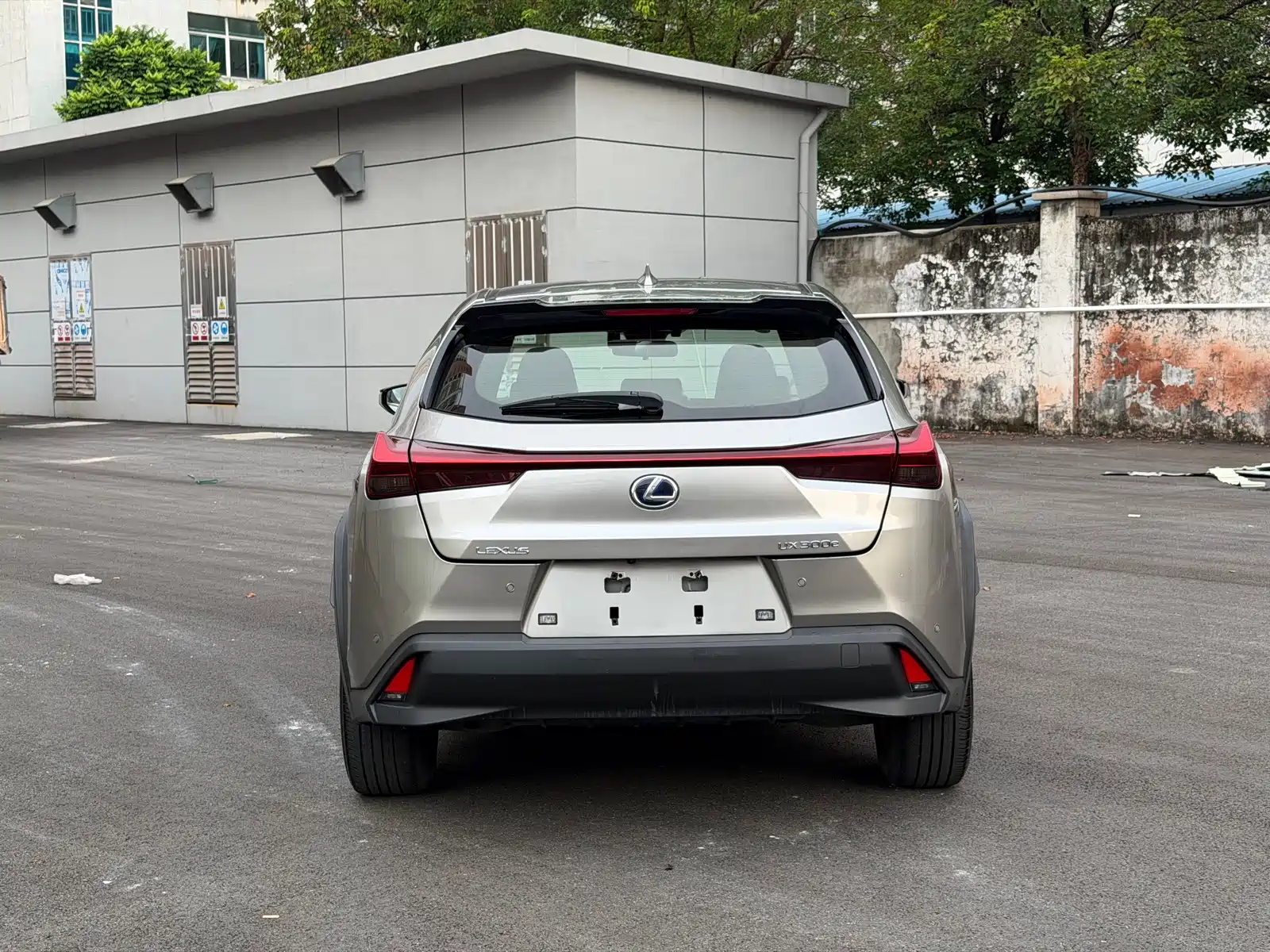 صورة 11 - Lexus UX Electric