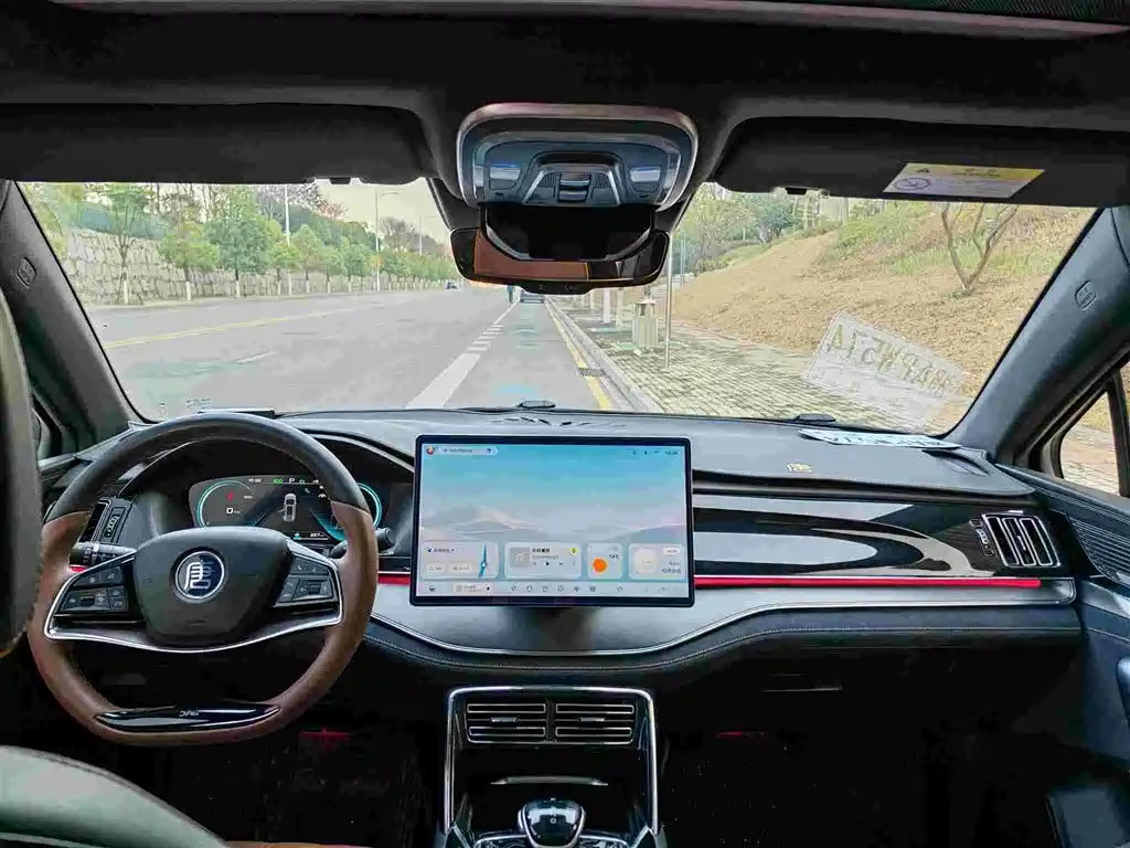 BYD Tang New Energy 2021 DM-i 112KM Honor фото 12