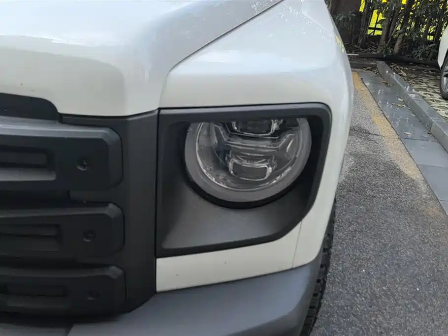 HAVAL RAPTORS NEW ENERGY