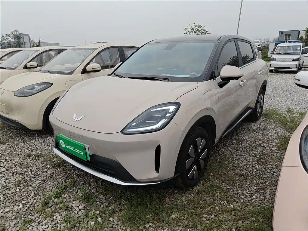 Wuling Motors Wuling Bingo S 2025 Model 325km Premium Edition