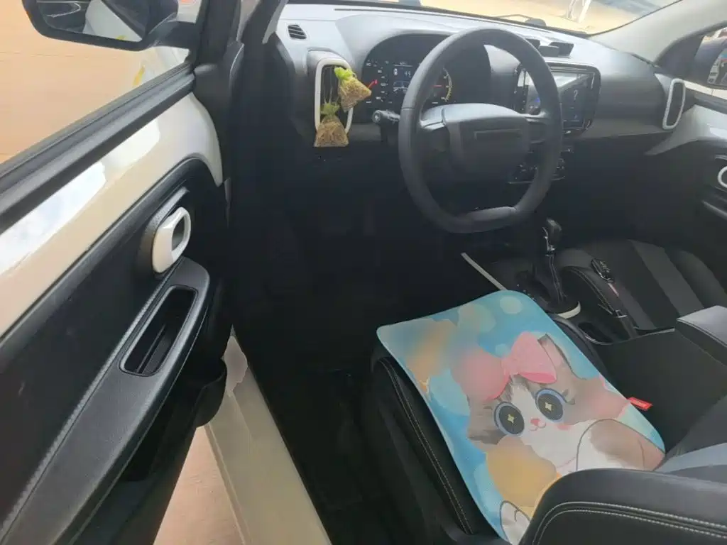 Roewe Clever 2023 2022 311km Vitality Bobo Edition