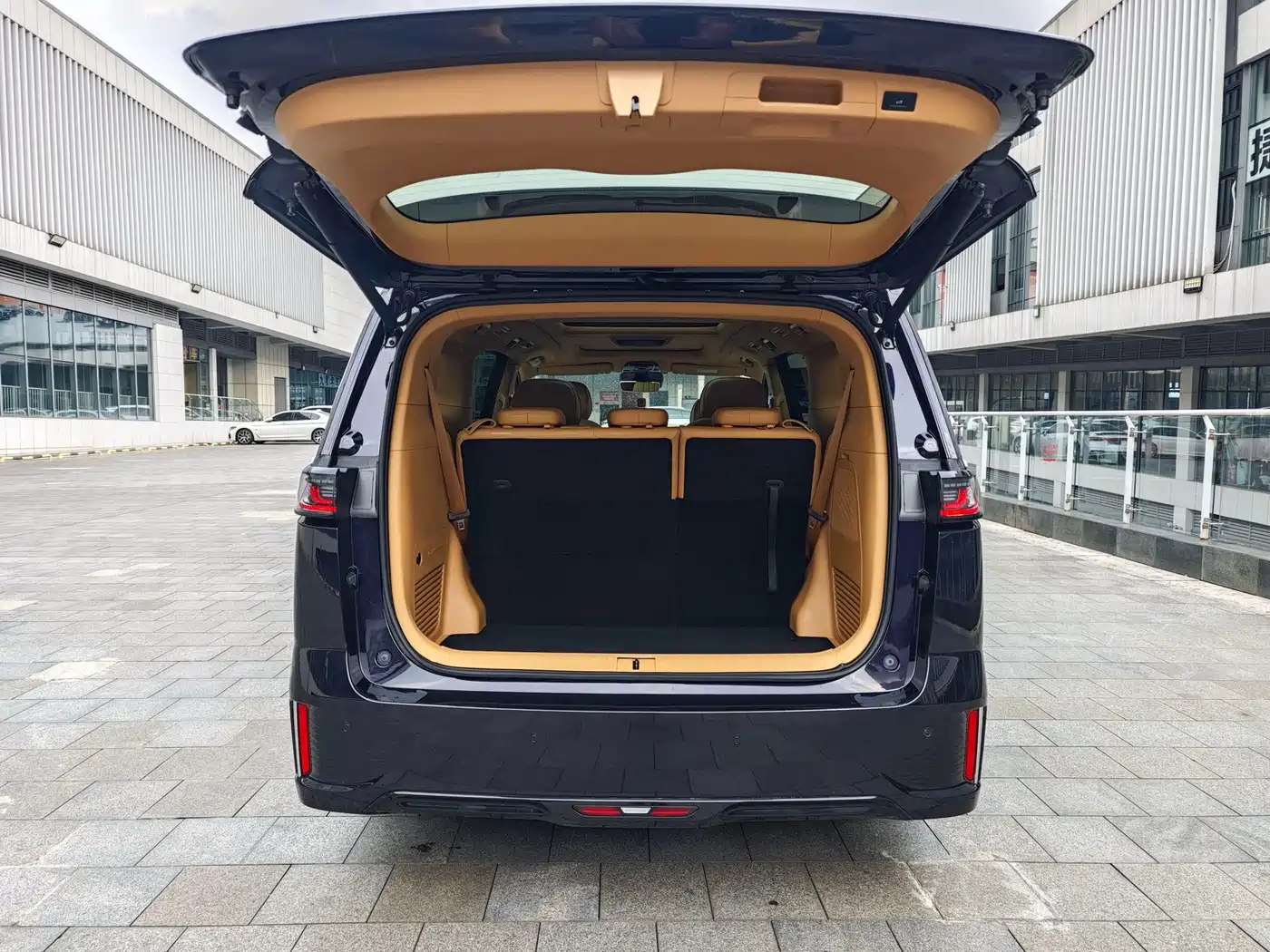 Фото 6 - Voyah Auto Voyah Dreamer
