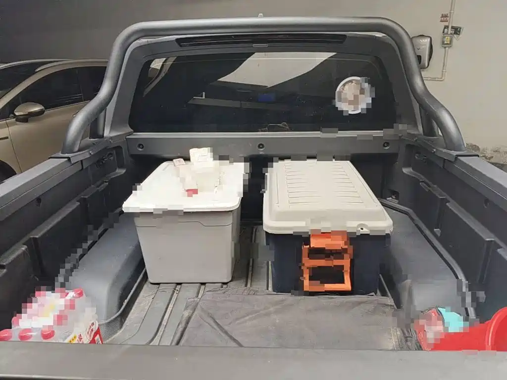 Geely Radar Radar King Kong 2025 2025 460km 4WD Standard Cargo Power Guardian