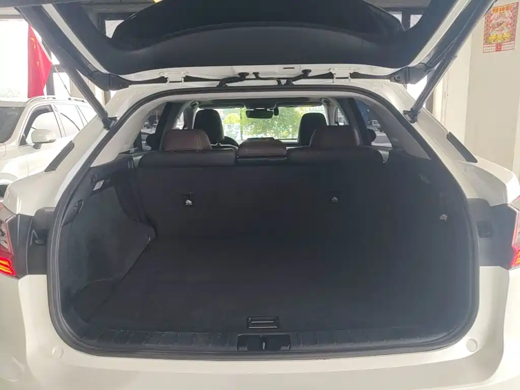 Фото 15 - Lexus RX