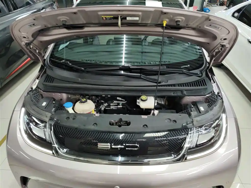 BYD Dolphin 2023 420km Fashion Edition фото 20