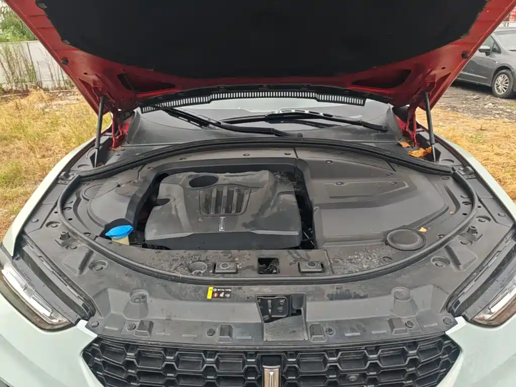 WEY VV7 2017 2017 2.0T Super Luxury