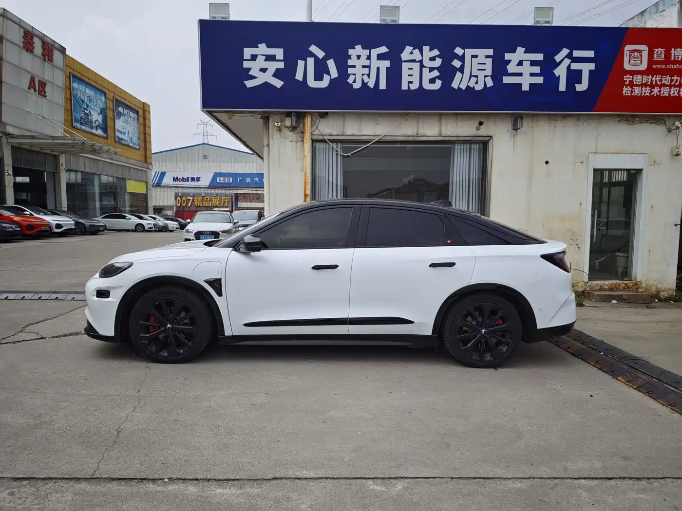 ARCFOX EXTREME FOX POLAR FOX ALPHA S