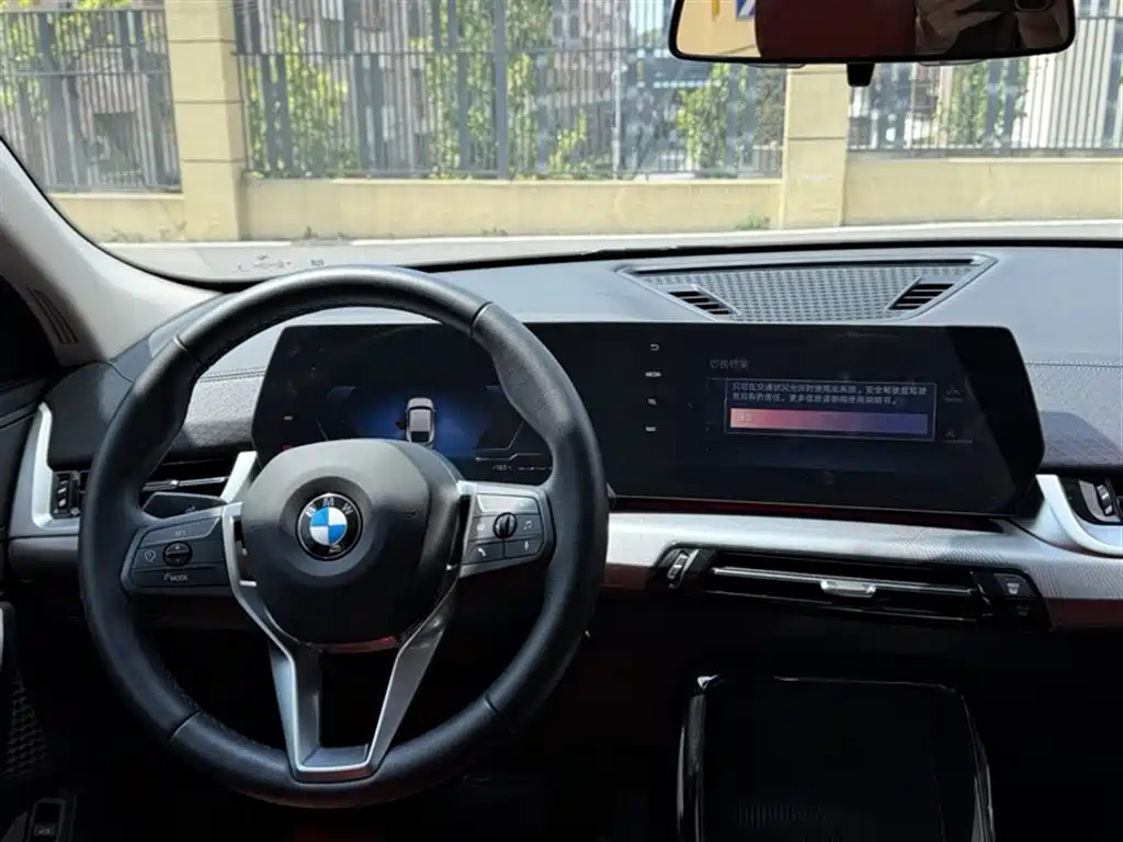 BMW X2 (Import) 2024 sDrive25i M Sport Package фото 6
