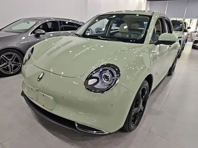  Ora Ora Good Cat 2024 401km Premium 126kW