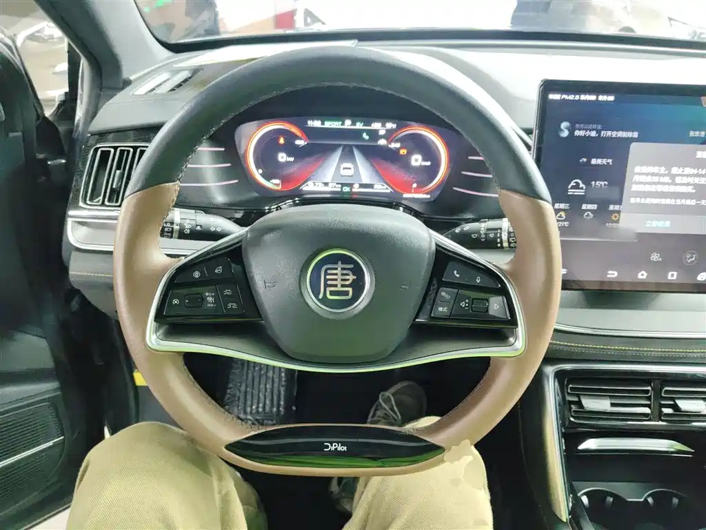 BYD Tang New Energy 2021 DM 2.0T AWD High Performance Genesis Flagship фото 7