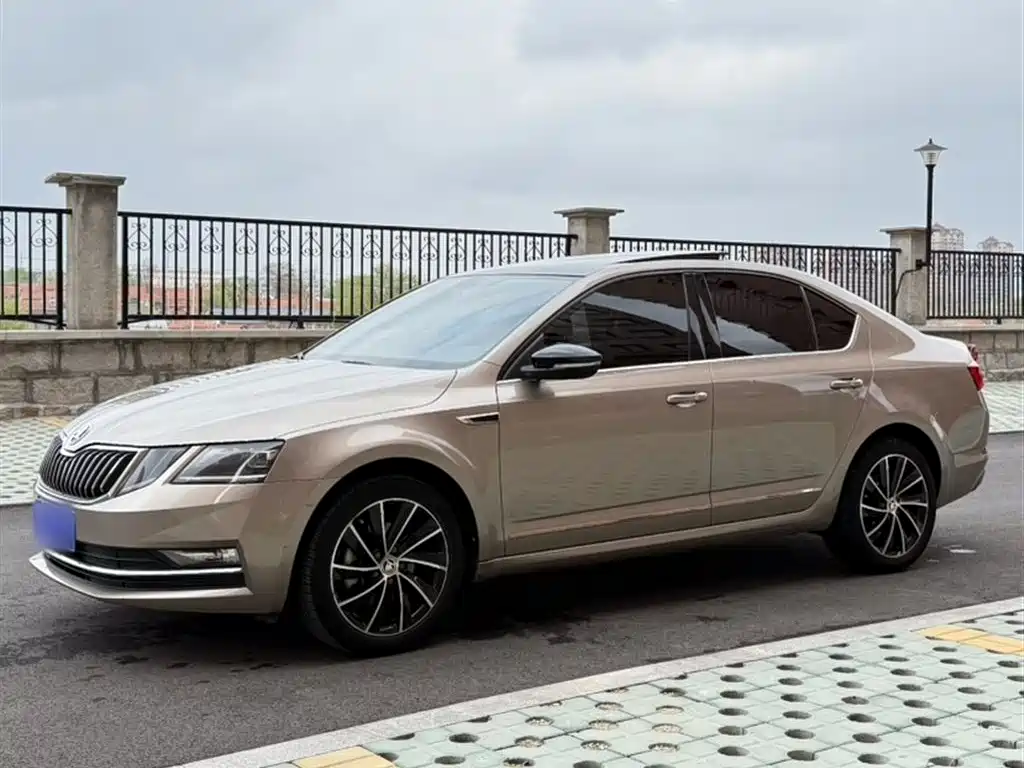 Škoda Octavia 2018 TSI280 DSG Luxury Edition фото 2