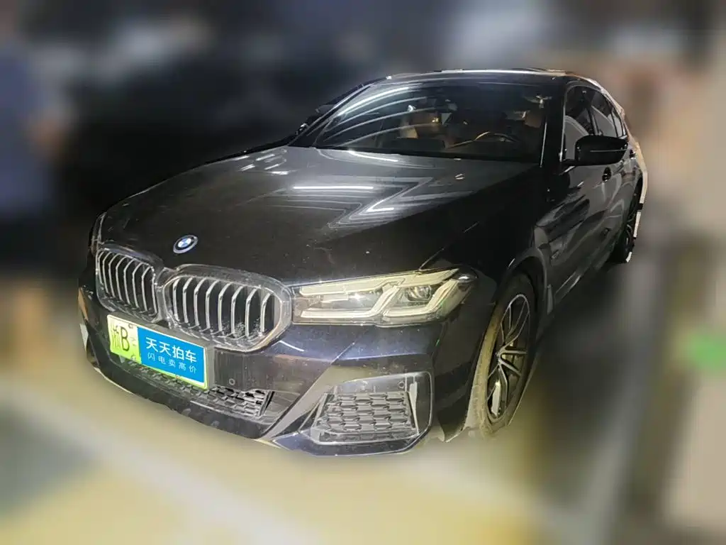BMW 5 Series New Energy