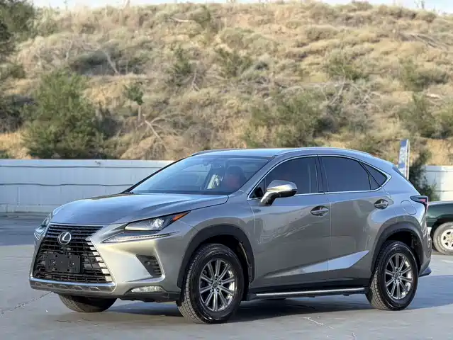 Lexus NX 2020 300 FWD F Line China V